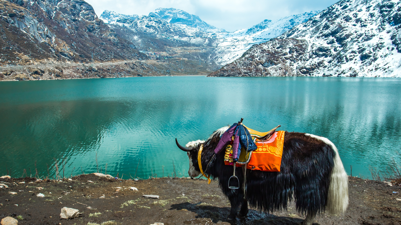 Sikkim