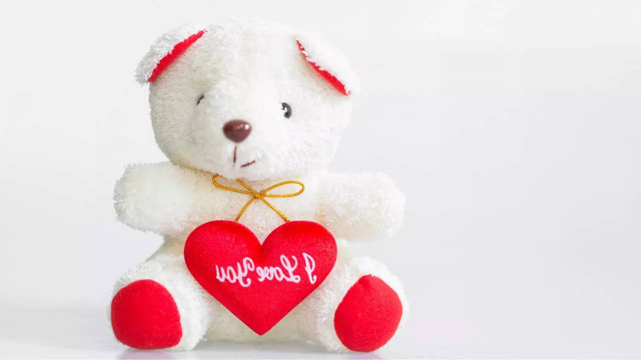 Happy Teddy Day 2024: Best Wishes, Images, Quotes, Greetings And Messages To Share On Valentine Week Day 4