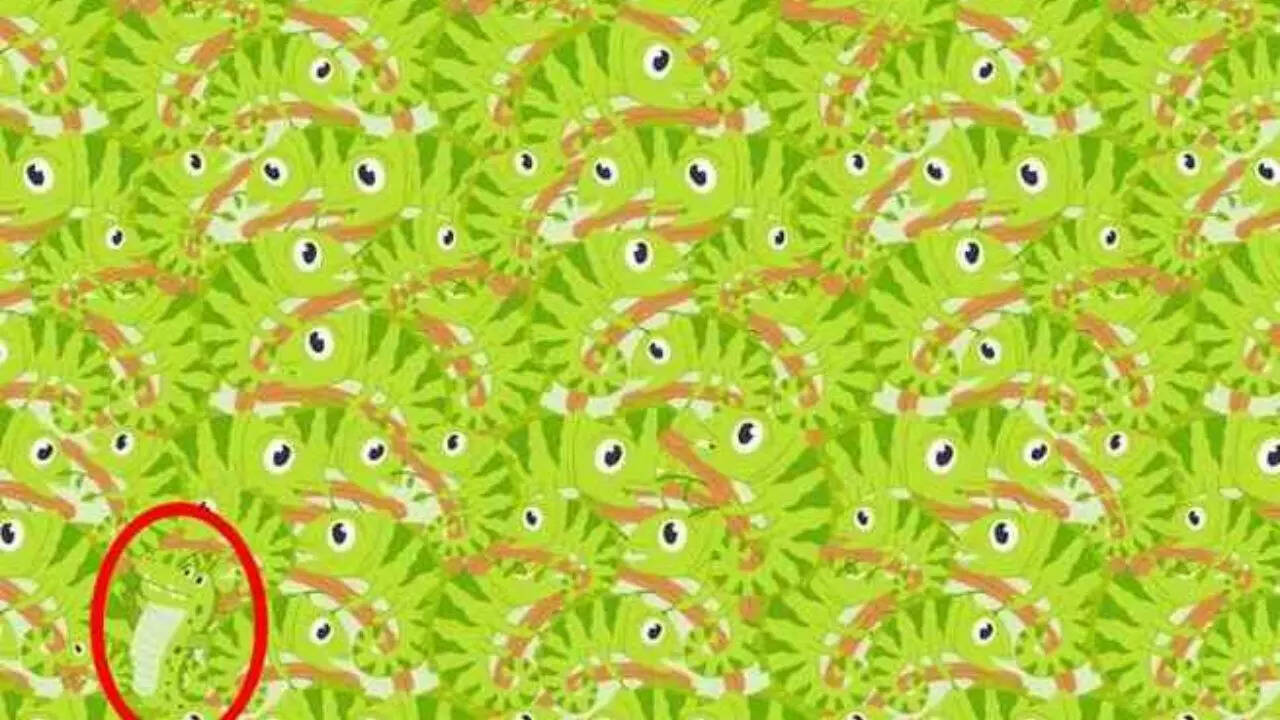 Optical Illusion Visual Test Optical Illusion Visual Test Got Sharp Optical Illusion Visual Test Optical Illusion Visual Test Got Sharp