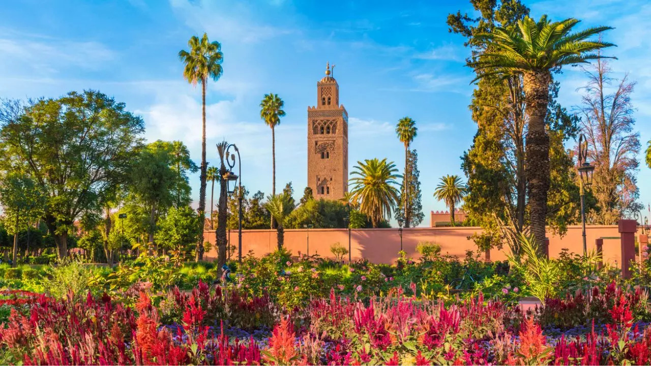 Morocco Explore Wildflower Blooms And Vibrant Cities 