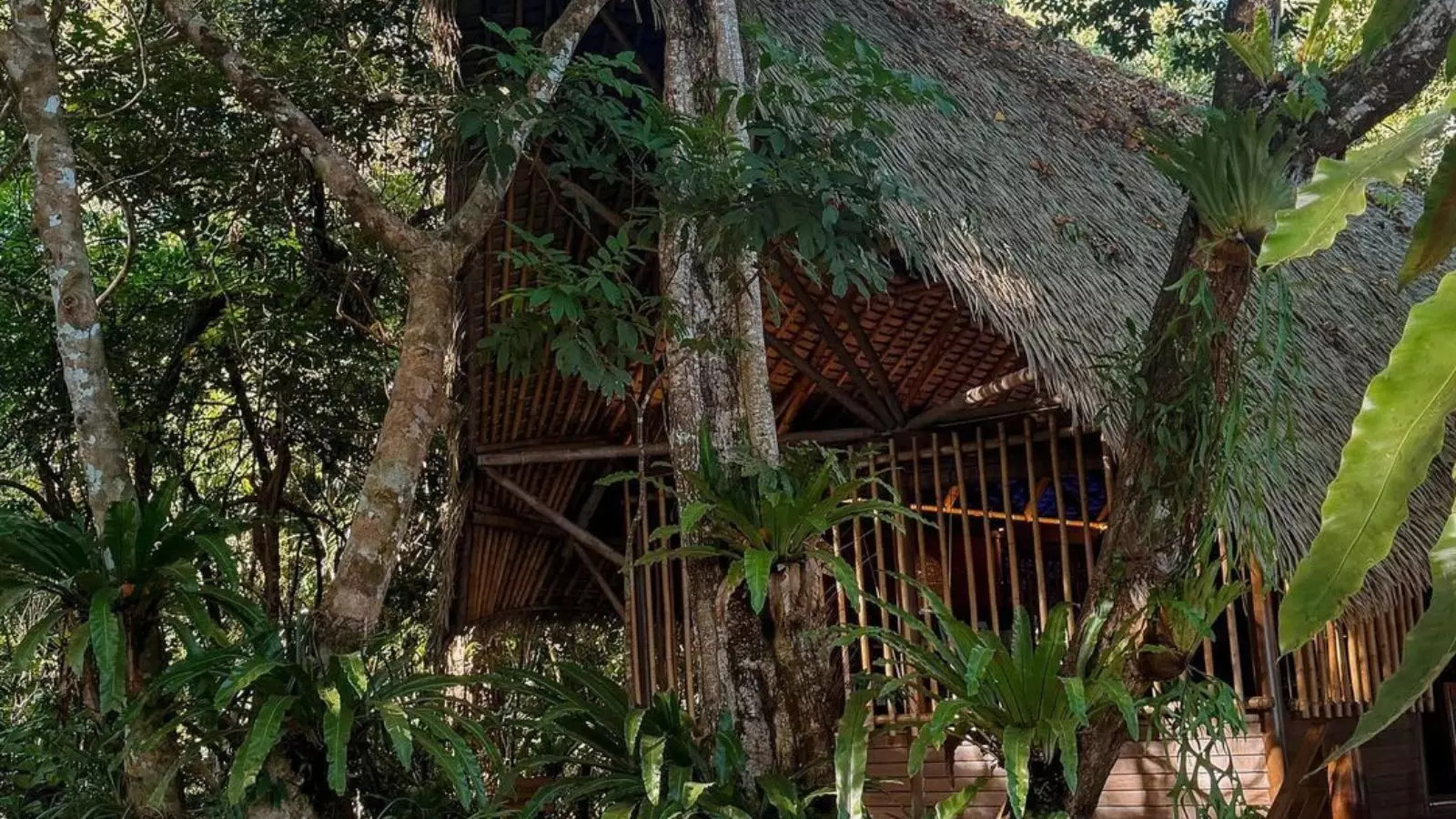 A beautiful pic of her wooden house in Malaysia