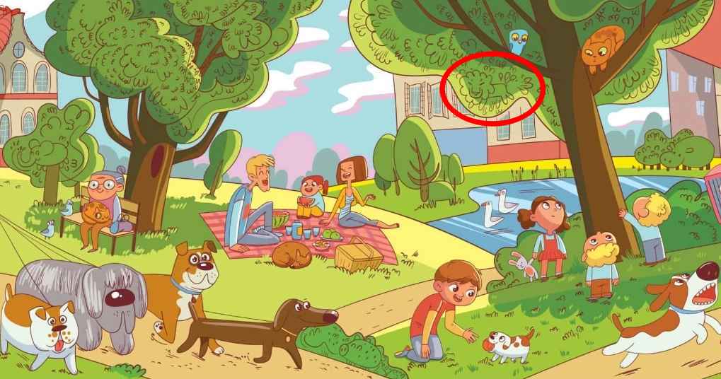 Optical Illusion Challenge Only 1 Of People Can Find The Hidden Lion Optical Illusion Challenge Only 1 Of People Can Find The Hidden Lion
