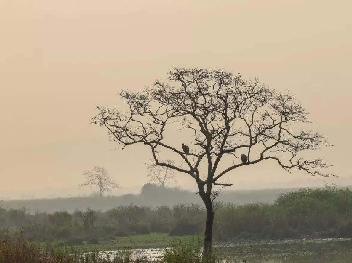 सेला बोगद्याचे उद्घाटन