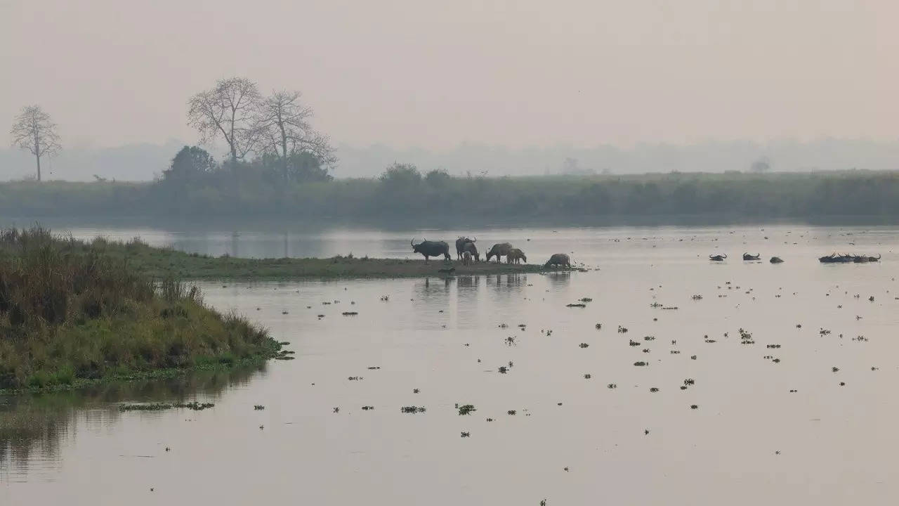 सभेला संबोधित करणार