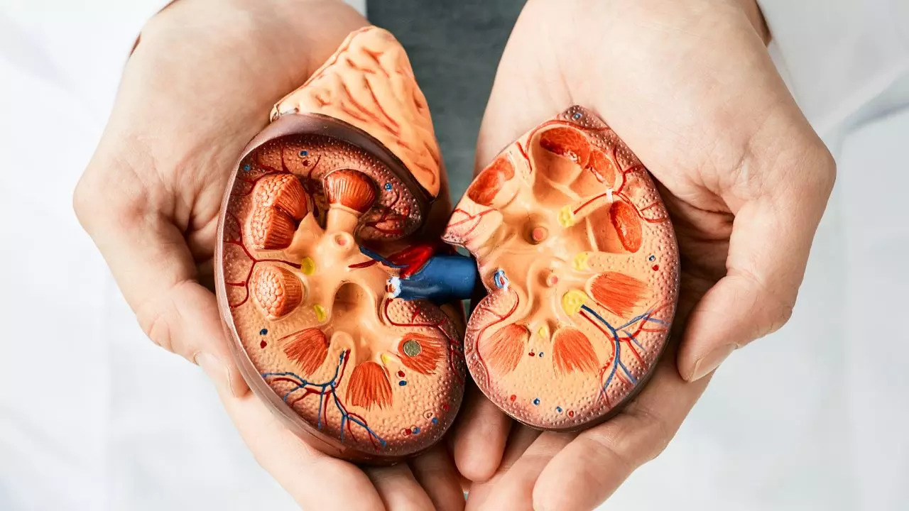 Importance of spotting symptoms of CKD