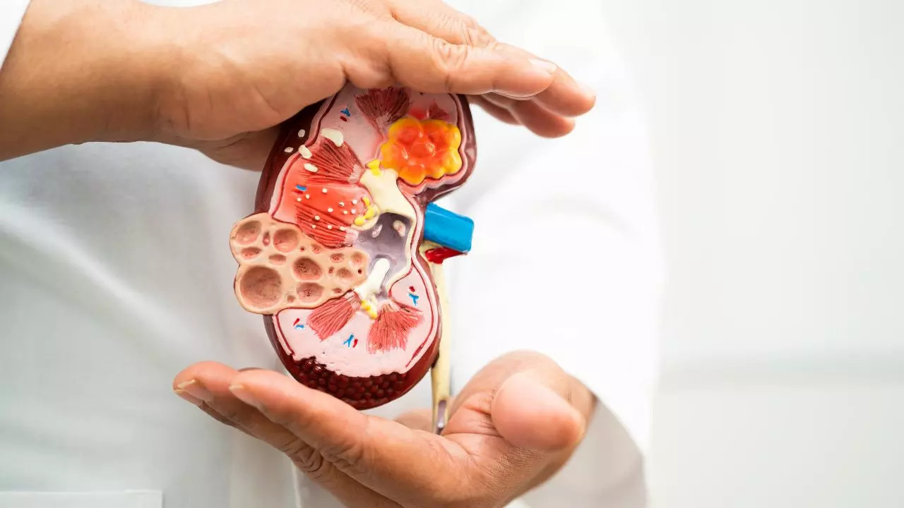 Understanding kidney disease