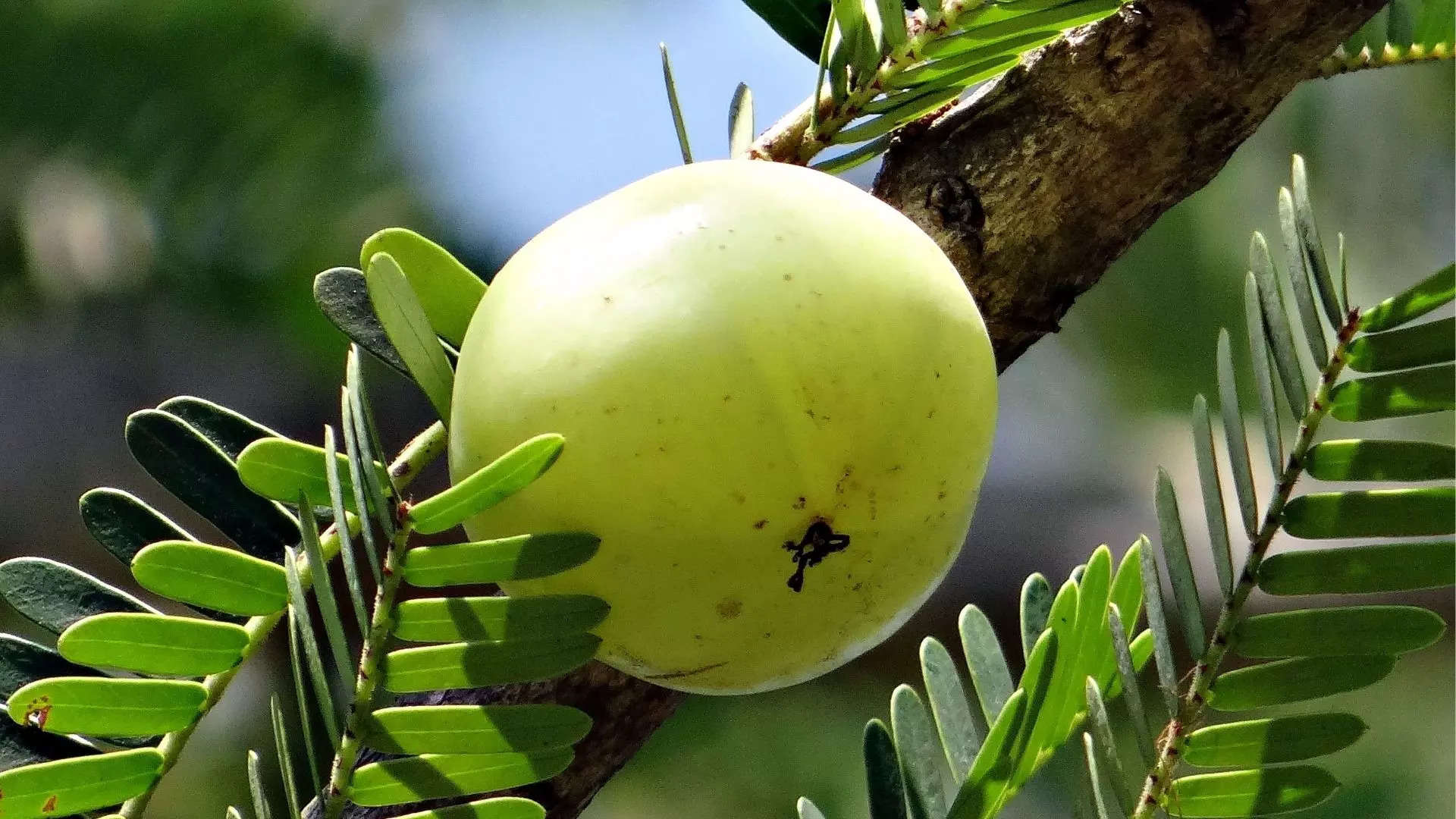 தொடர்ந்து செய்தால்