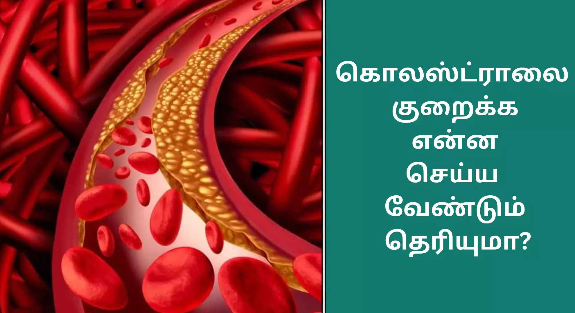 கொலஸ்ட்ரால் அளவு குறைய என்ன செய்ய வேண்டும் என்பதை இங்கு பார்ப்போம் 