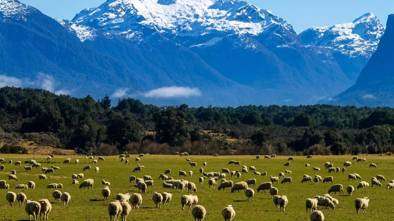 New Zealand A Pioneering Force in Eco-Tourism