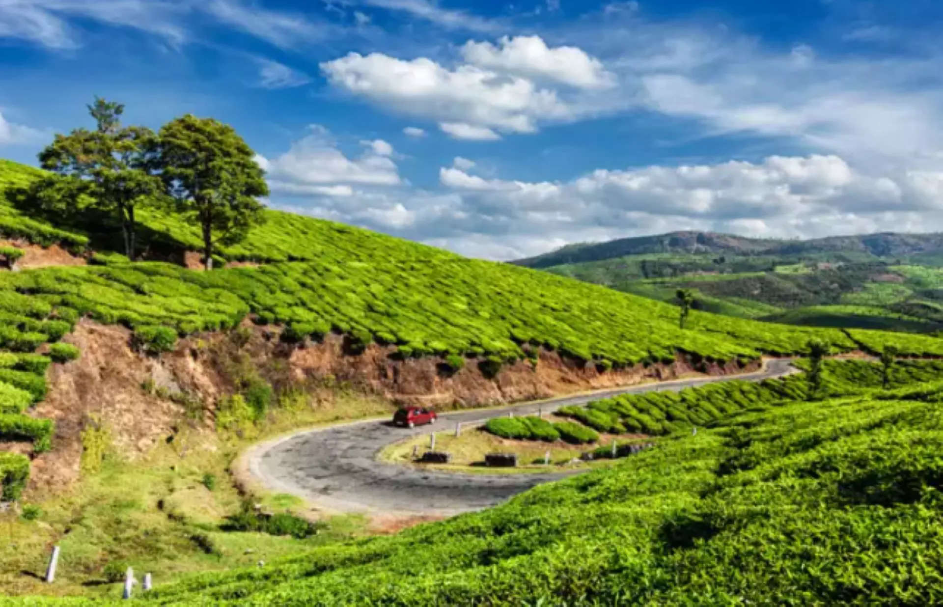 ಮುನ್ನಾರ್ ಕೇರಳ