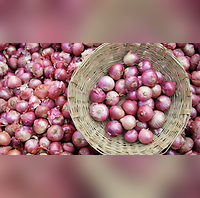 Onion Export Ban Extended Indefinitely Concerns Arise In These Global Markets