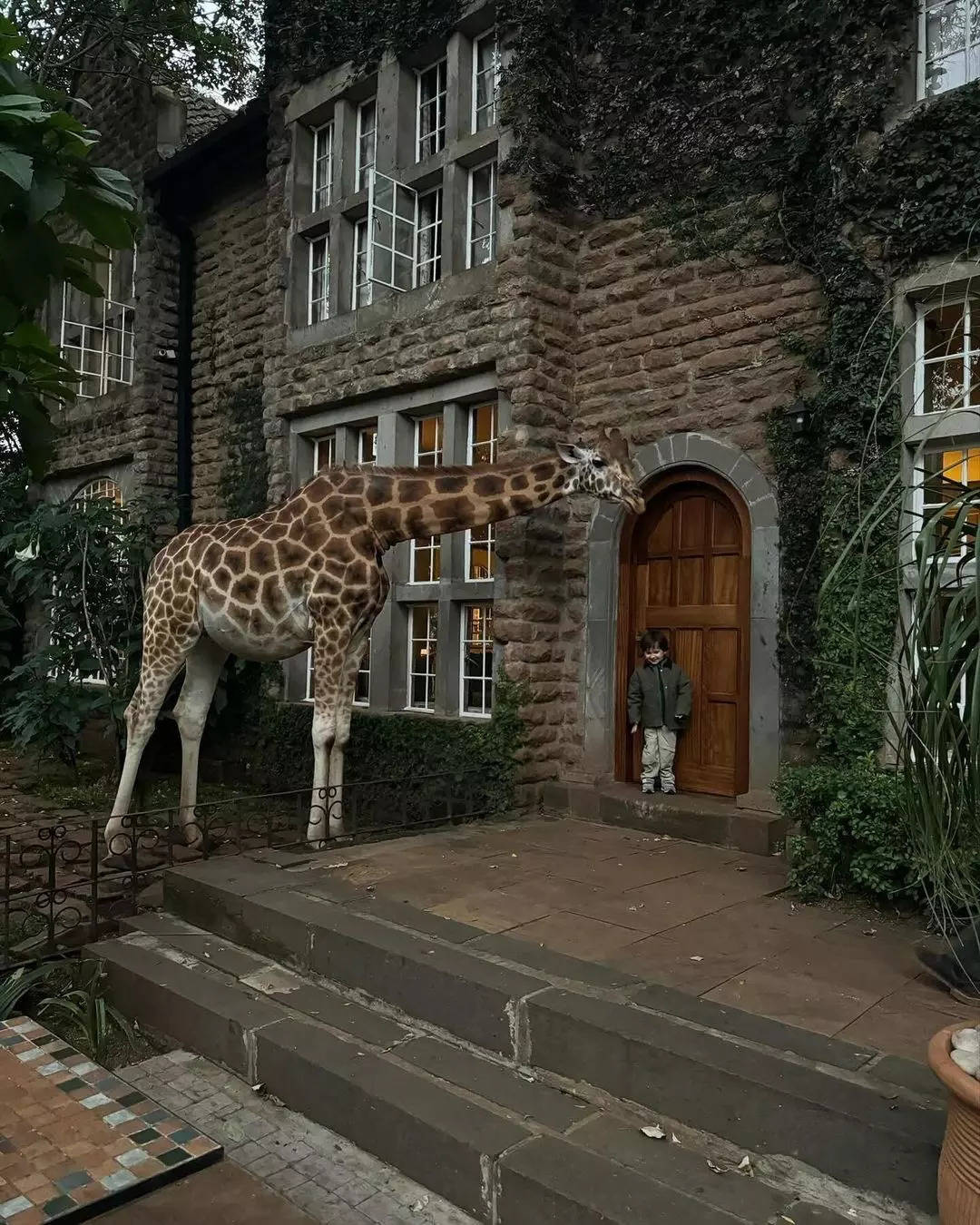 Giraffe Hotel Kenya: Dine with Giraffes at This Enchanting and ...