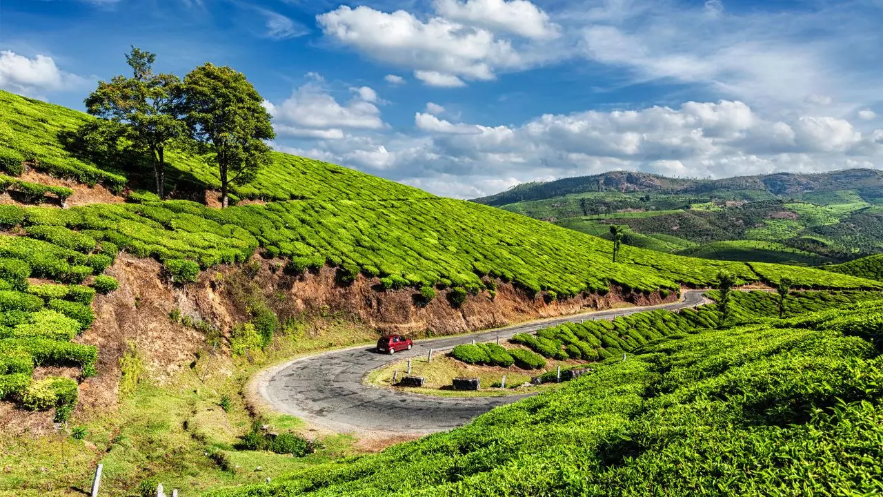 Munnar Kerala