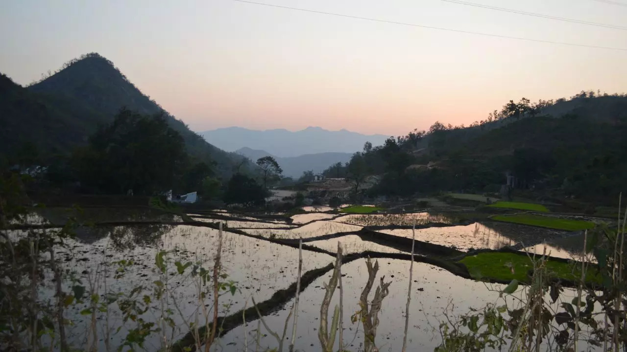 Araku Valley Andhra Pradesh