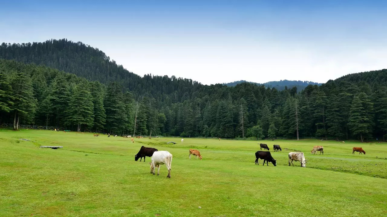 Dalhousie Himachal Pradesh