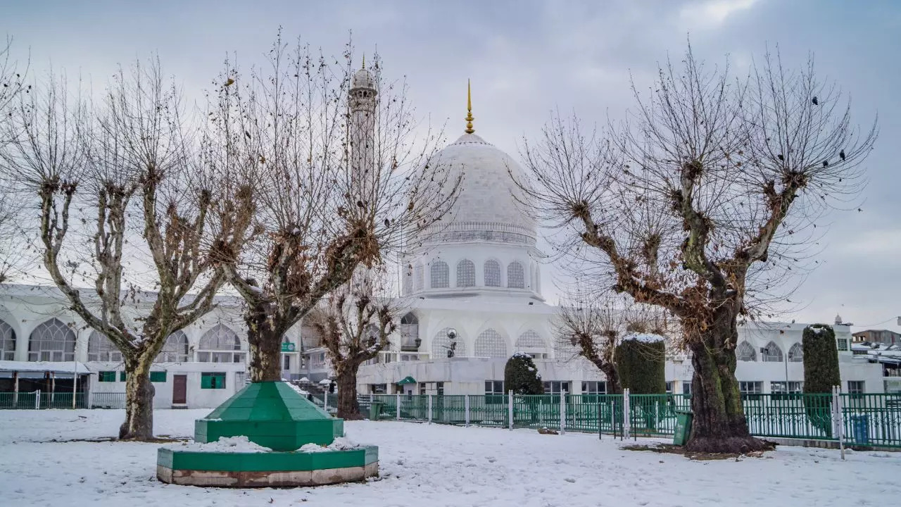 Srinagar Tranquil Beauty