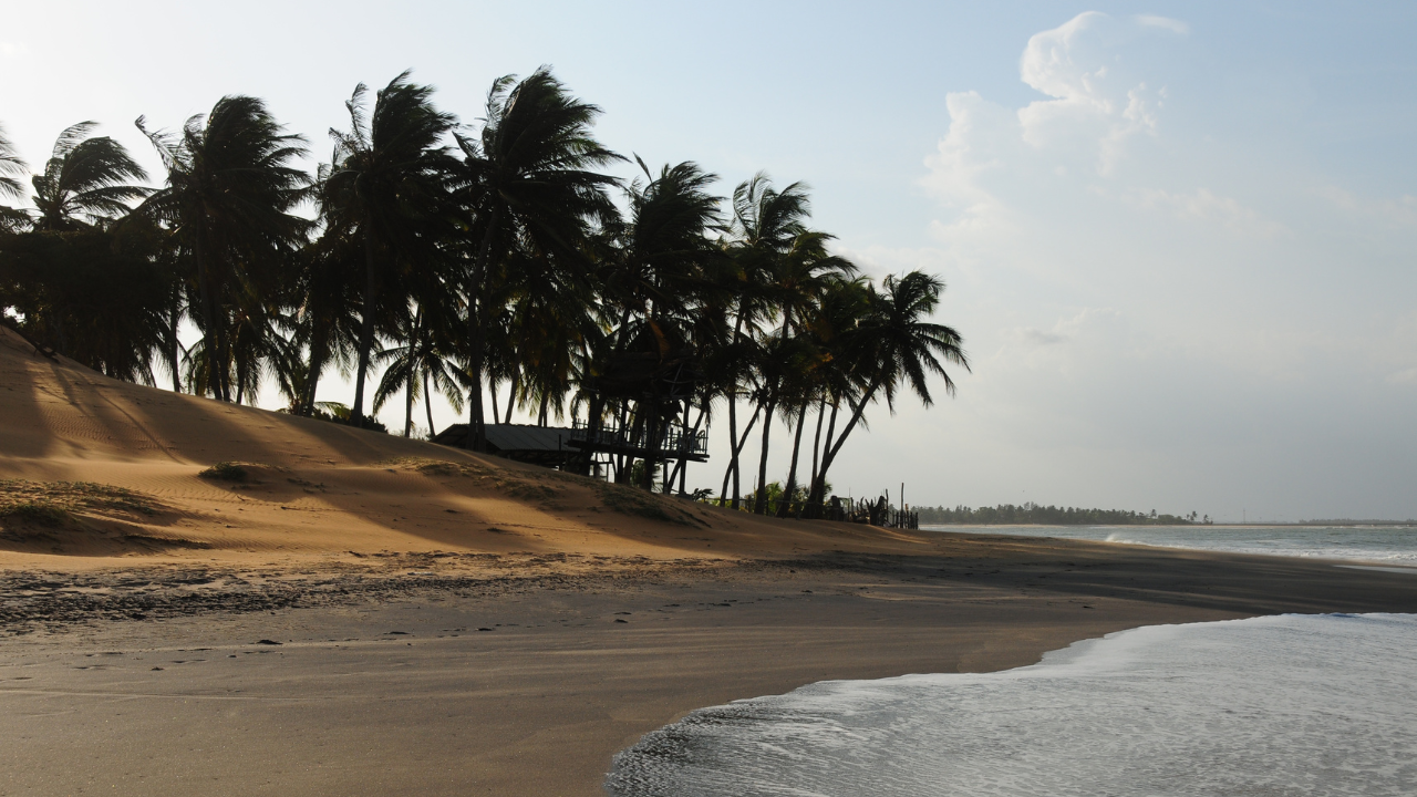 Arugam Bay