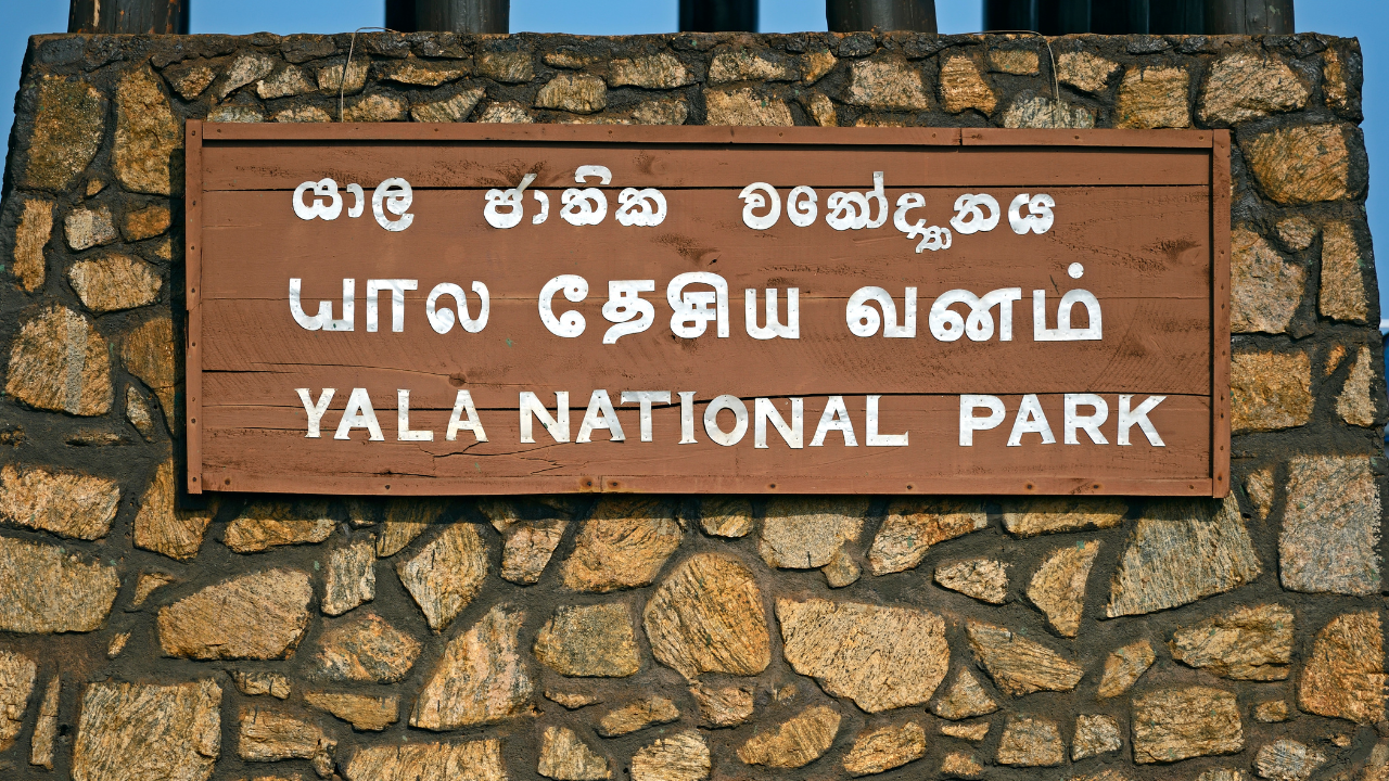 Yala National Park