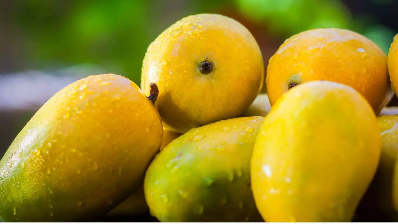 Varieties Of Indian Mangoes: Beyond Alphonso, The Stories Of 10 Lesser 