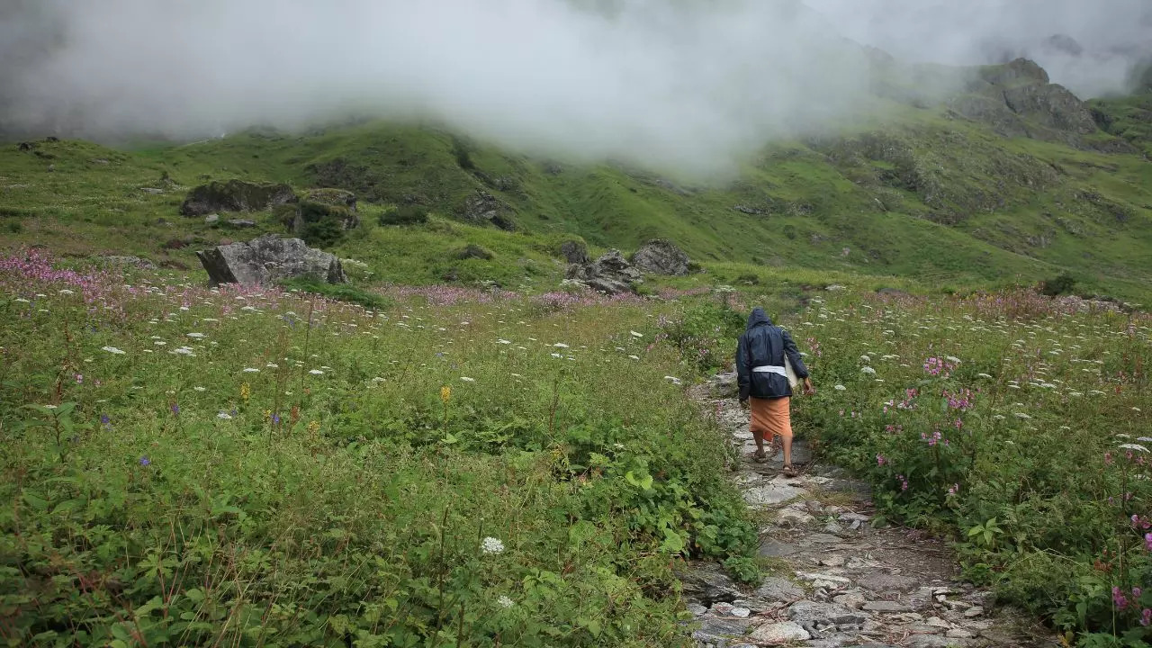 Valley of Flowers Uttarakhand