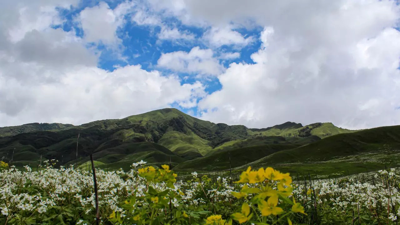 Dzukou Valley Nagaland