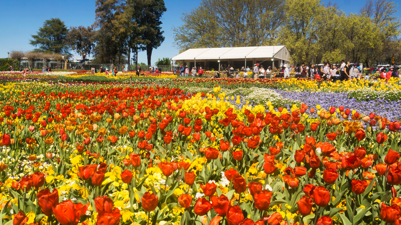 Floriade Australia