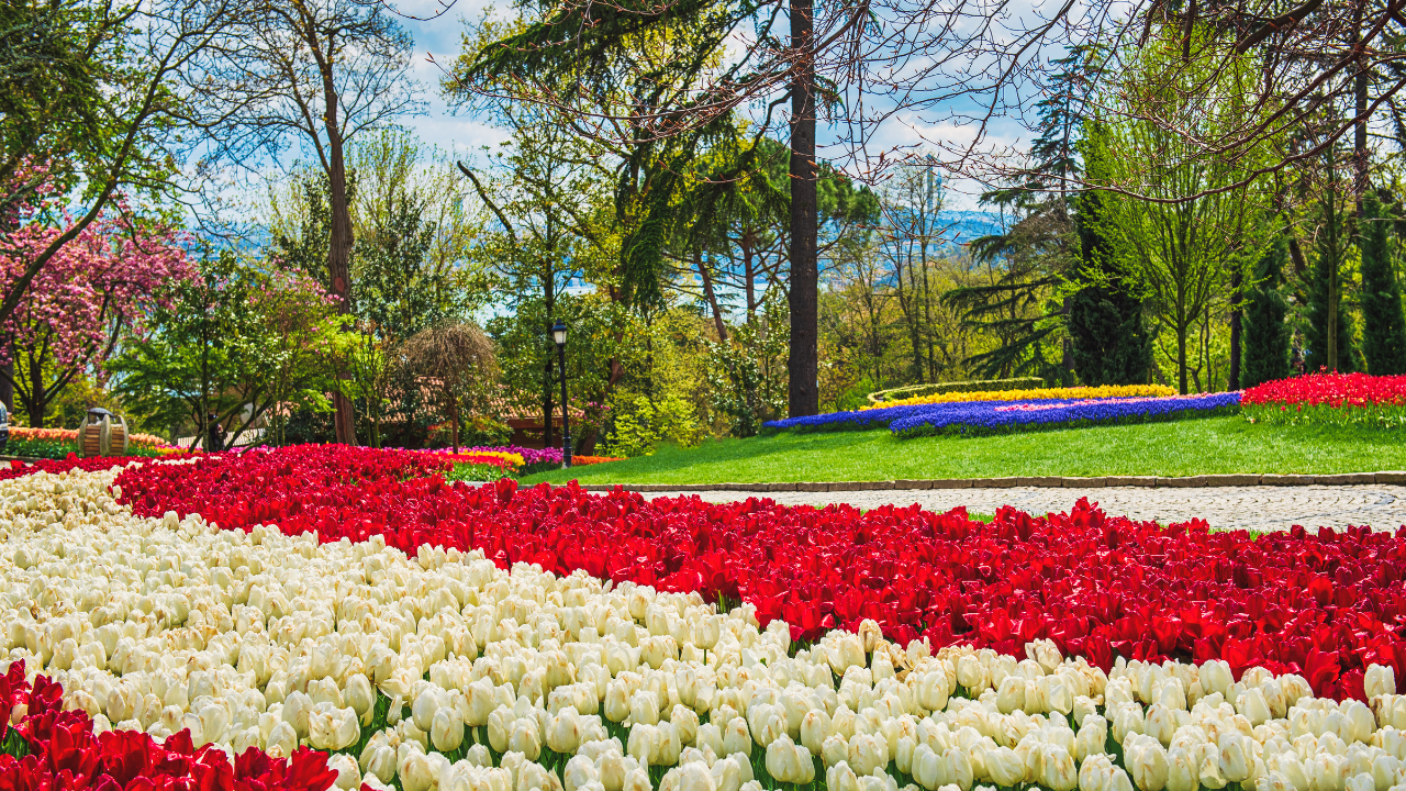 Emirgan Park Turkey