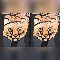 Optical Illusion Test You Have A Sharp Vision If You Can Spot The Optical Illusion Test You Have A Sharp Vision If You Can Spot The