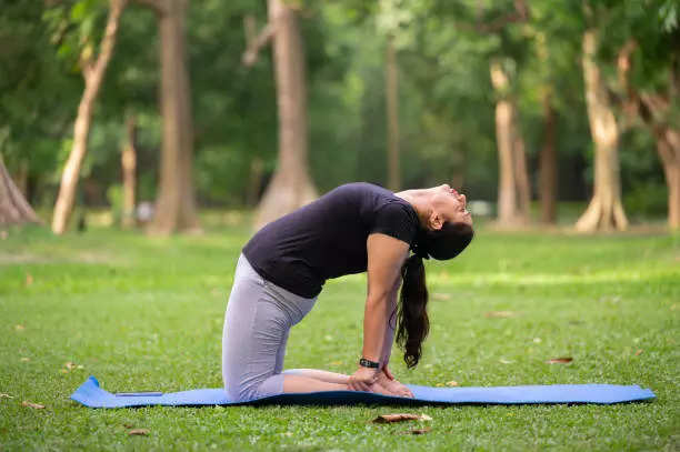 उस्त्रासन Camel Pose