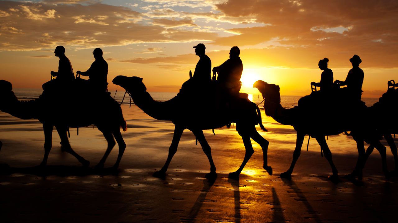 Go On A Sunset Camel Ride On Cable Beach