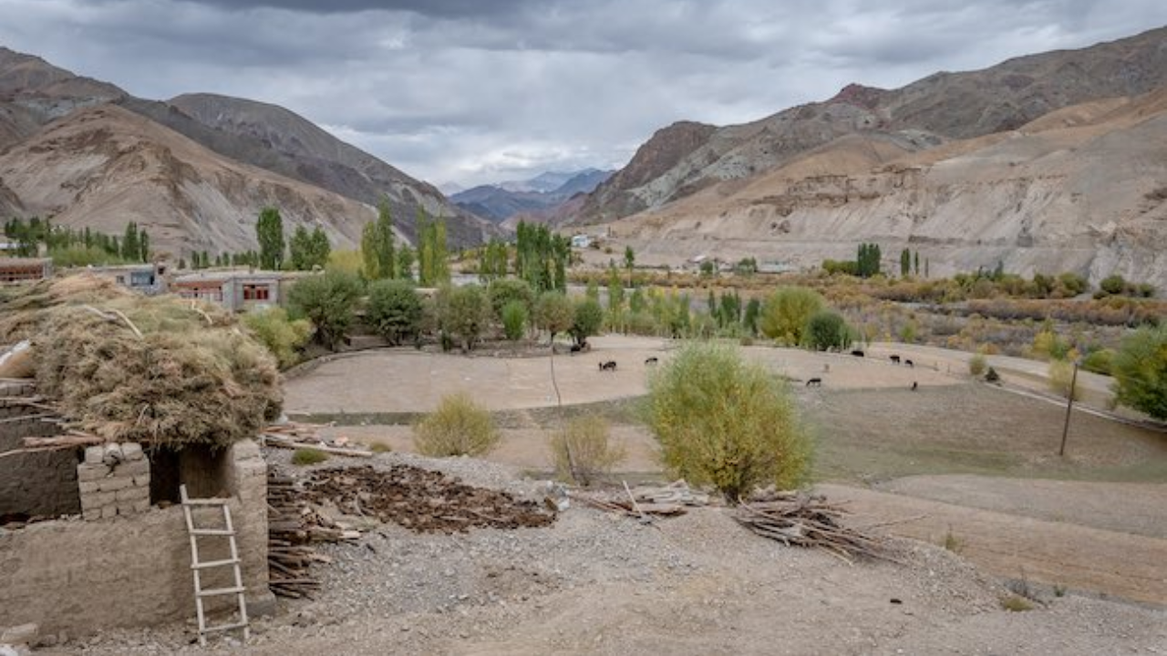 Chiktan Ladakh