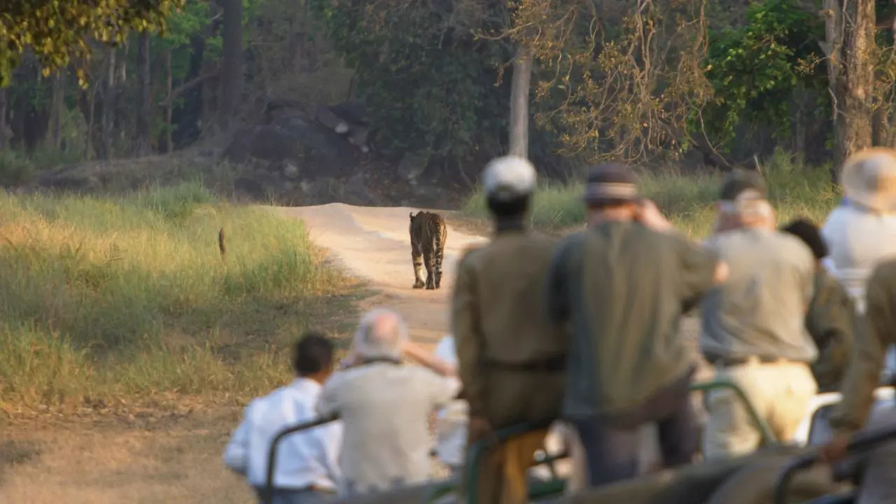 Kanha National Park Madhya Pradesh