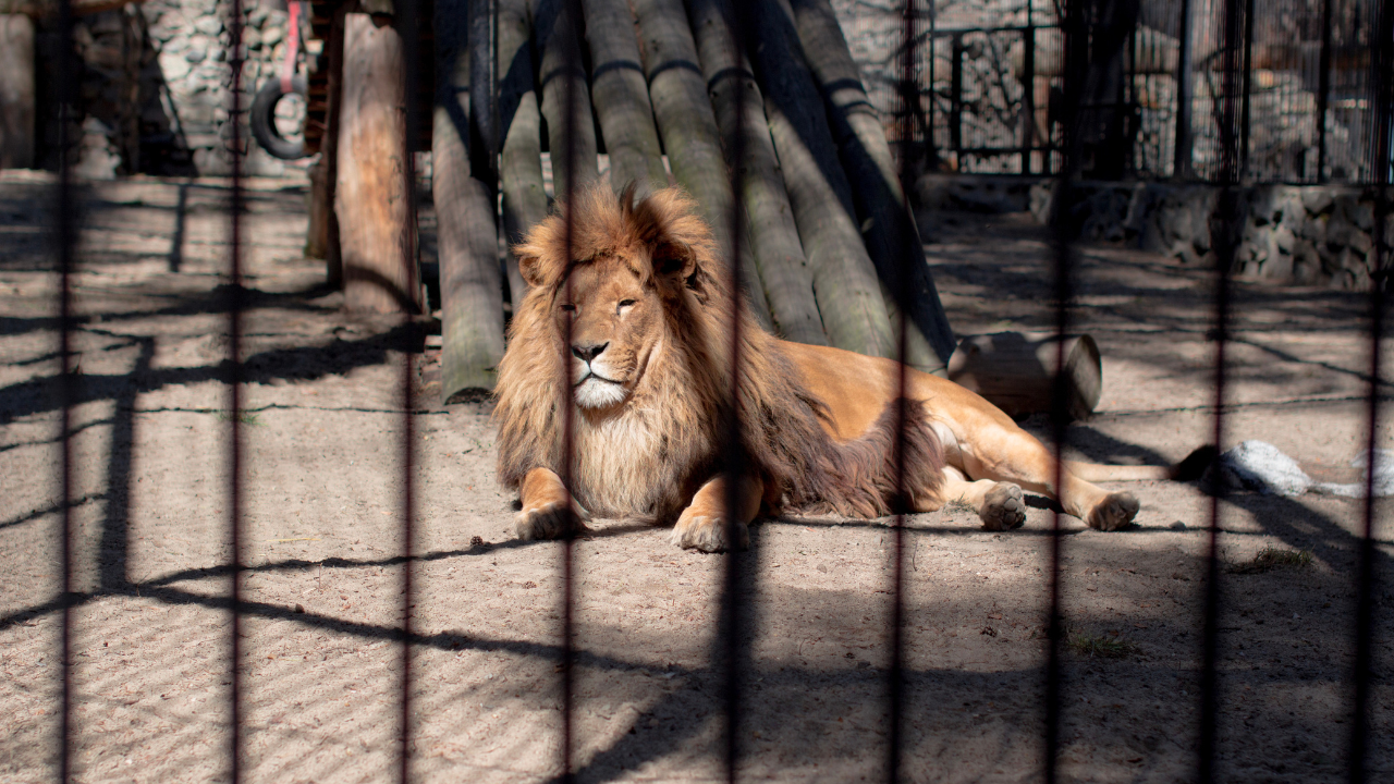 Nehru Zoological Park Hyderabad