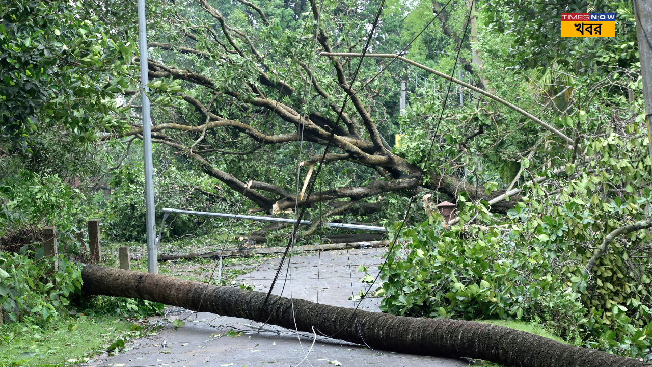 আমফানের দেখানো পথেই কি তাণ্ডব চালাবে ঘূর্ণিঝড় রেমাল জানুন এখনকার আপডেট