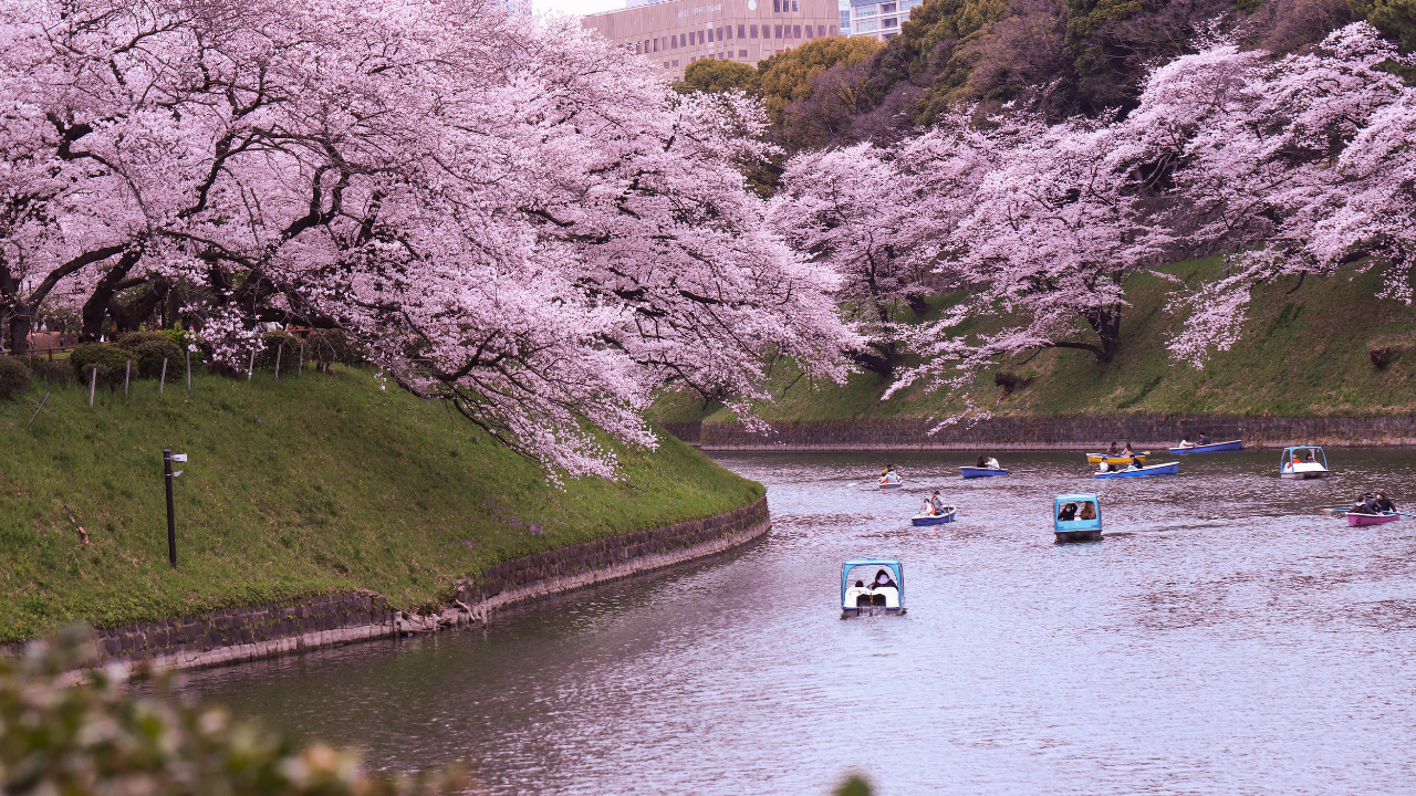 Tokyo