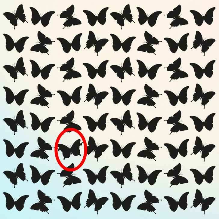 Optical Illusion: Only Those with Amazing Vision Can Find the Odd Butterfly in 7 Seconds | Times Now