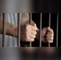 Indian-Origin Delivery Driver In Singapore Sentenced To 30 Months In Jail For Stealing Meat Products