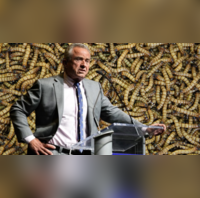 RFK Jrs Viral Secret Service Claims Fact-Checked Do All US President Candidates Get Mandatory Security