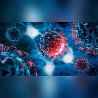 Will There Be Another COVID-Like Outbreak Chinas Expert Prepares For Next Global Pandemic