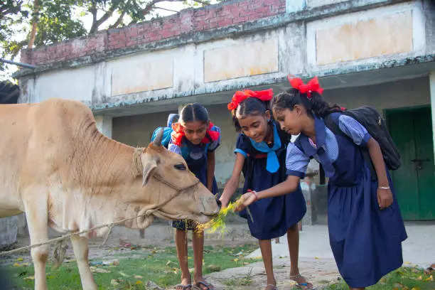 उष्ट आणि खरकाटे अन्न 