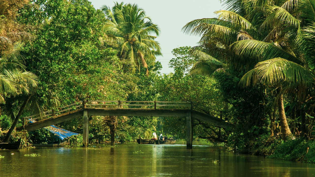 Kasargode Backwaters