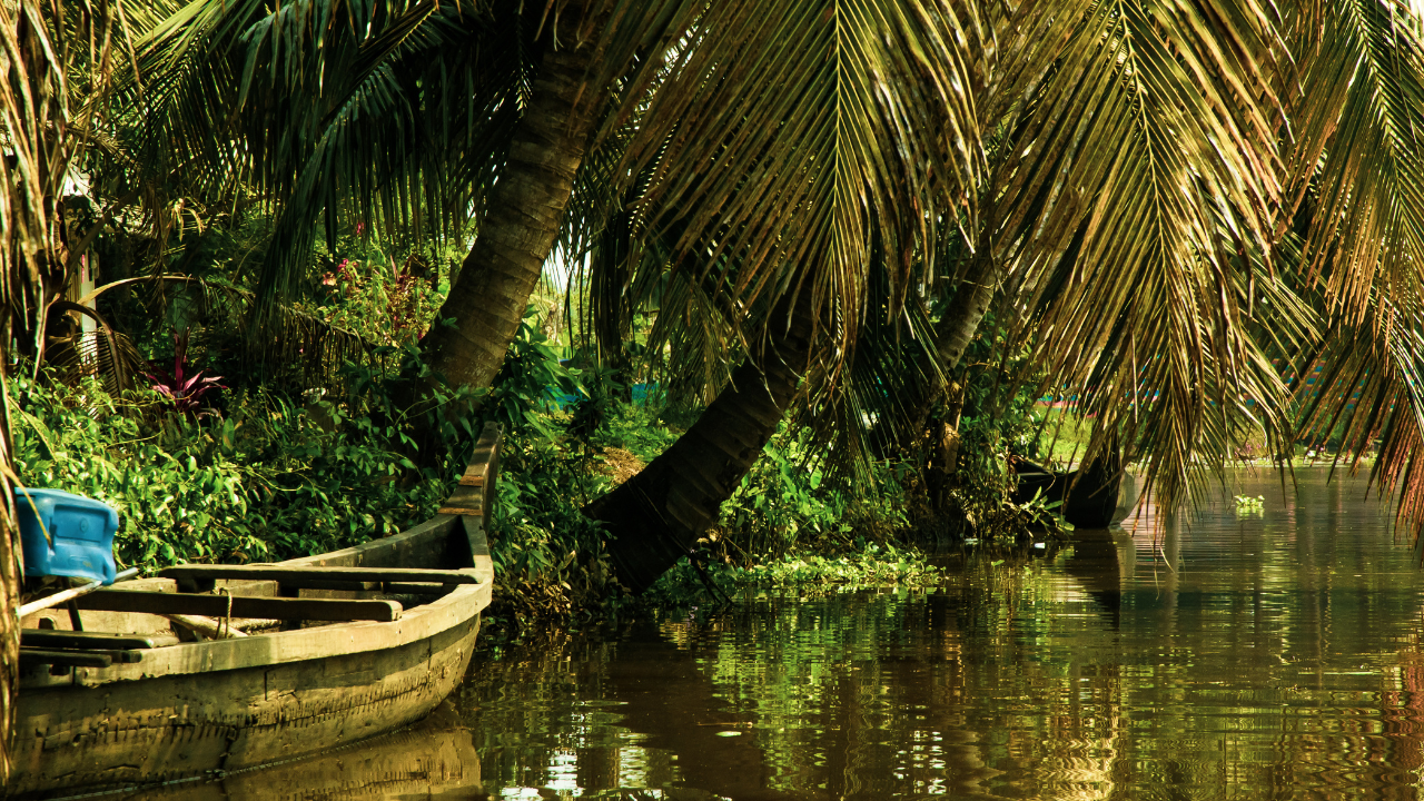 Kozhikode Backwaters