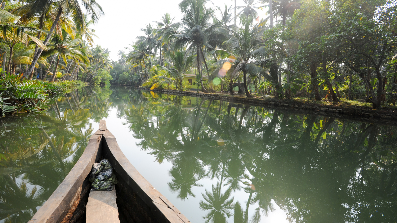 Thiruvananthapuram Backwaters