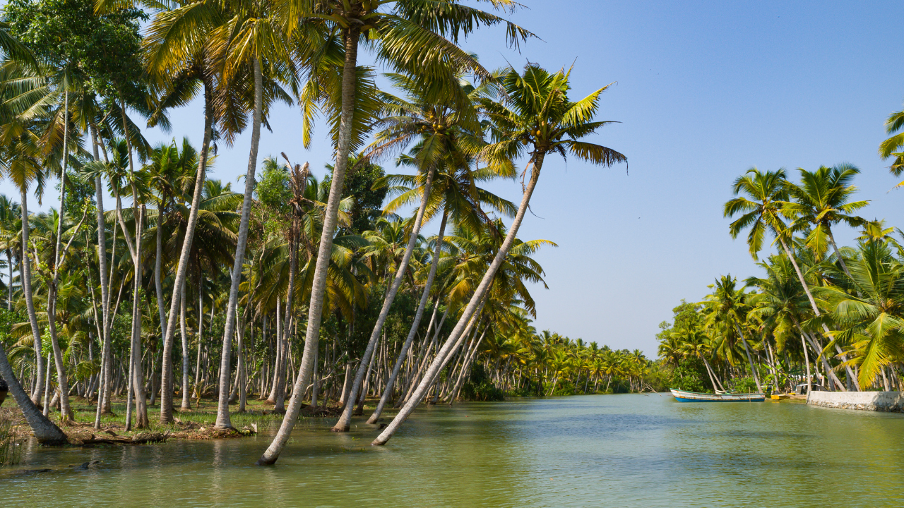 Kannur Backwaters