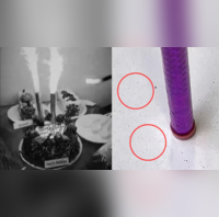 Viral Video YouTuber Reveals Dangers of 'Anar' Candles on Birthday