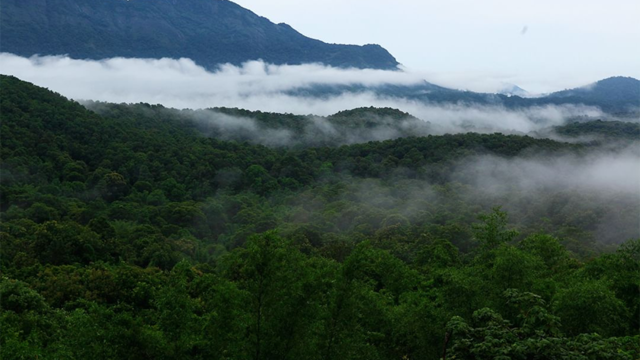 Silent Valley National Park