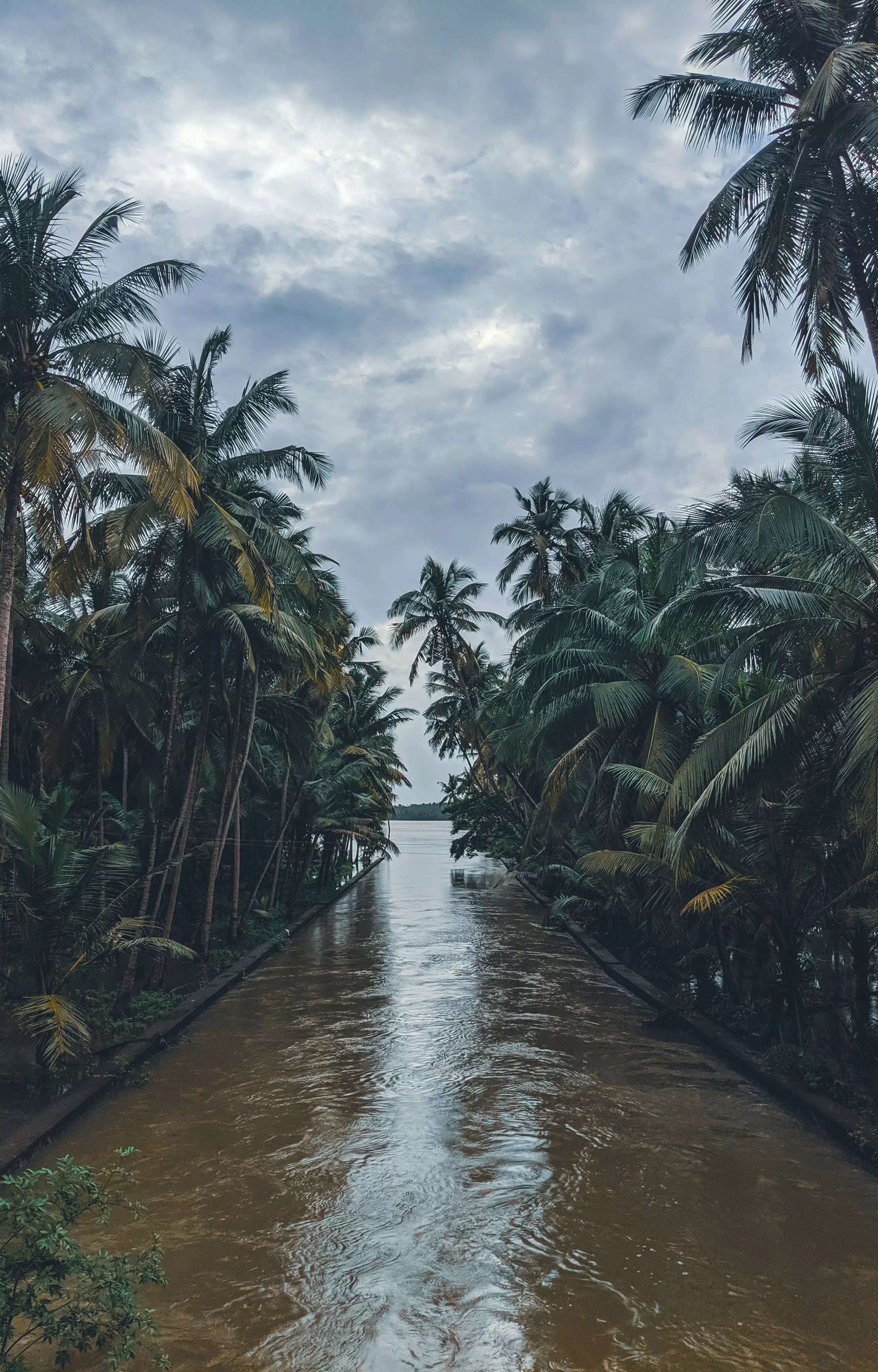 Backwaters of Kozhikode Credit Unsplash