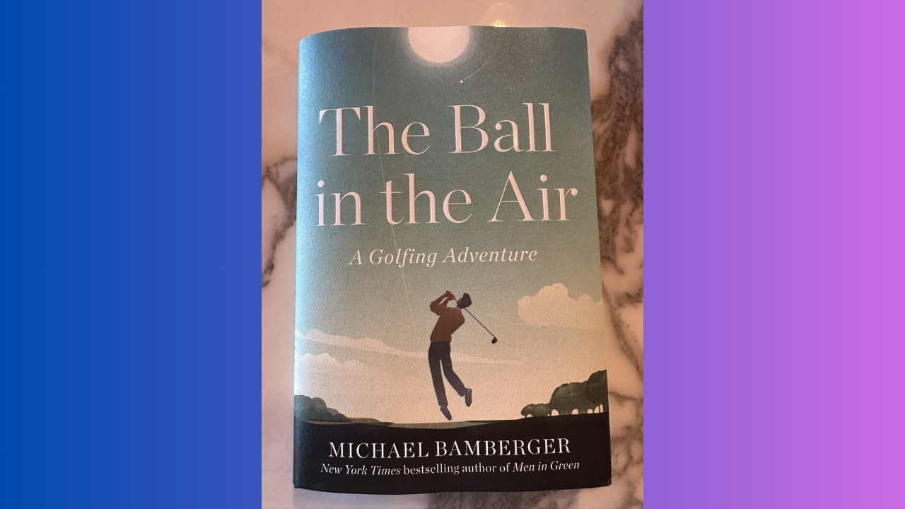 The Ball in the Air by Michael Bamberger