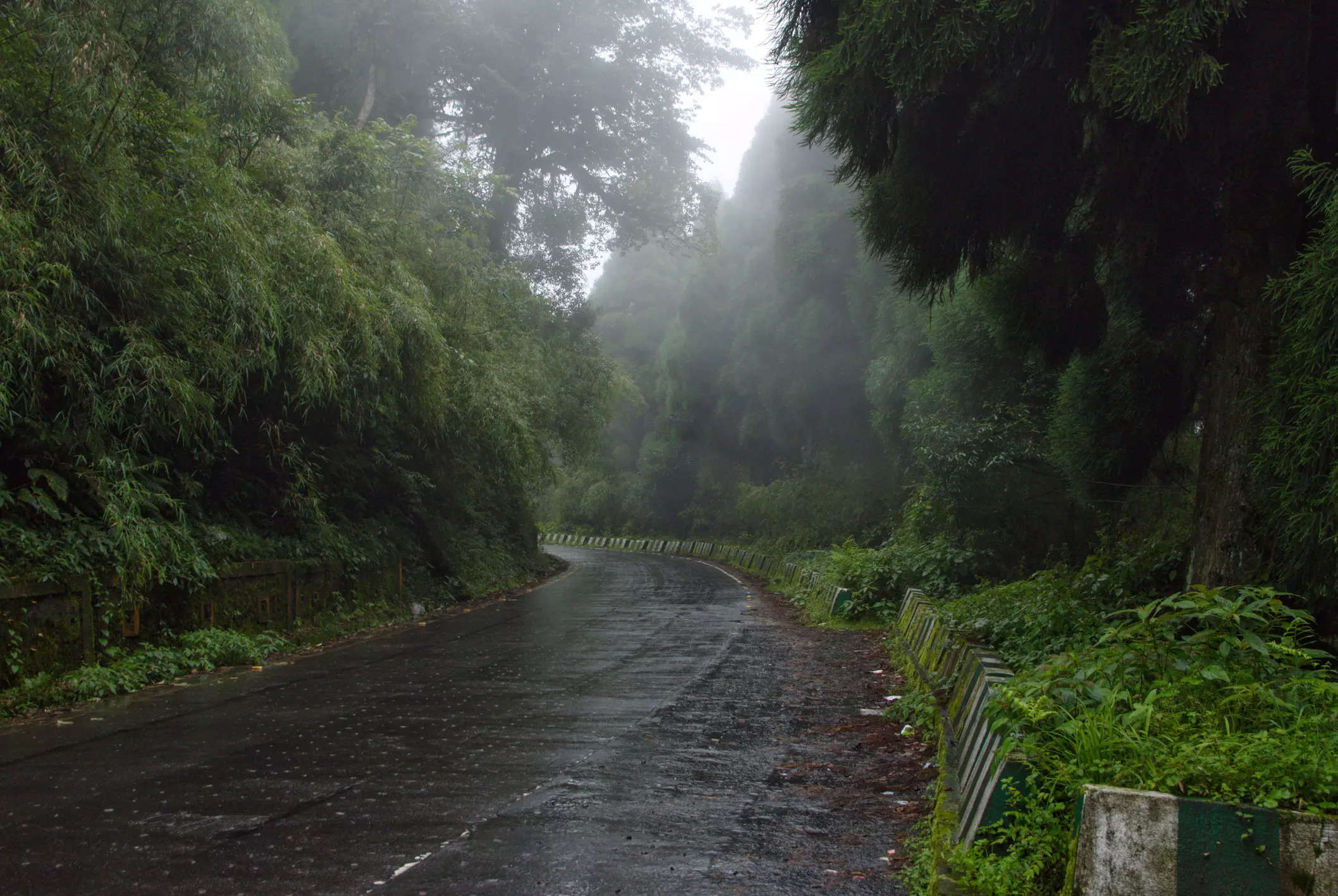 Best Monsoon Destination For Road Trips That Every Indian Traveller ...