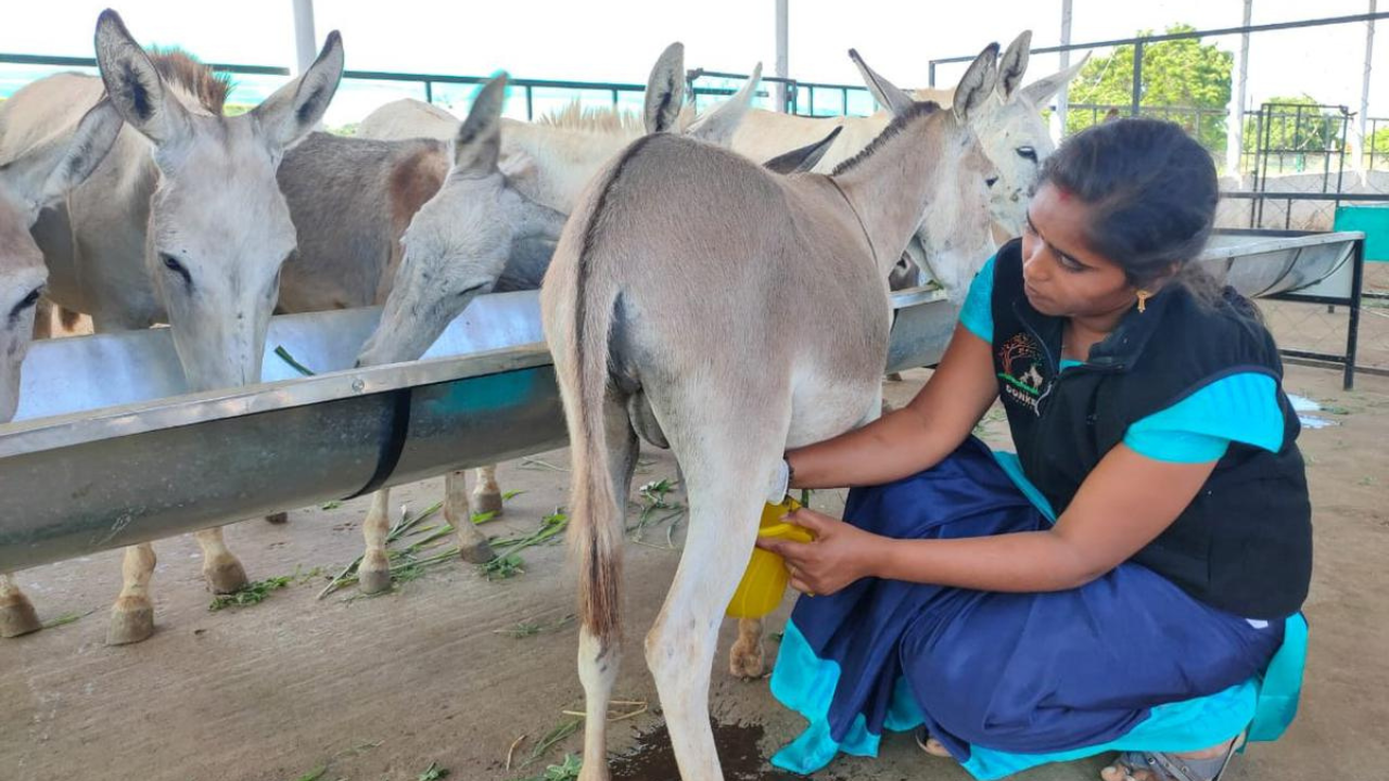 जळजळ कमी करण्यास मदत करते